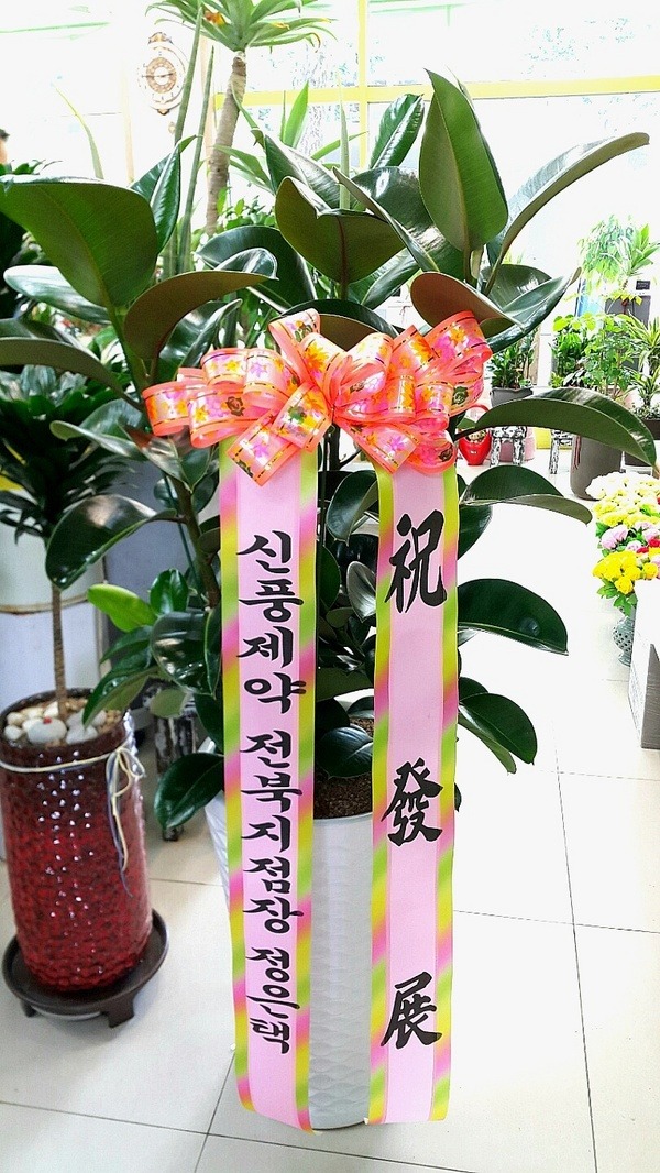 7��3��(�ݿ���)