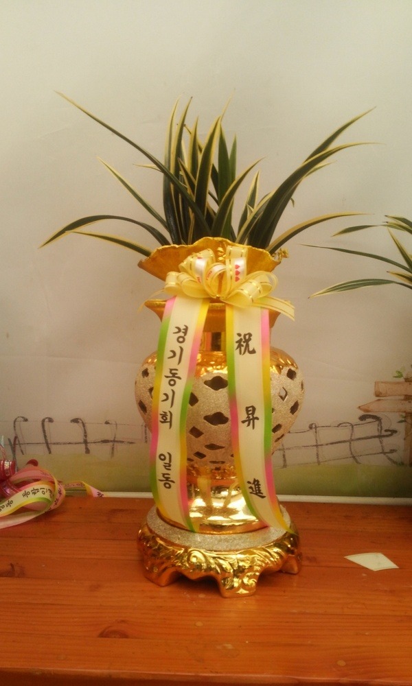 7��3��(�ݿ���)