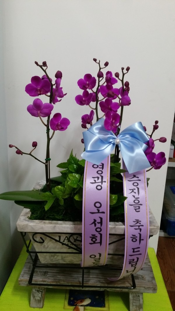 7��3��(�ݿ���)