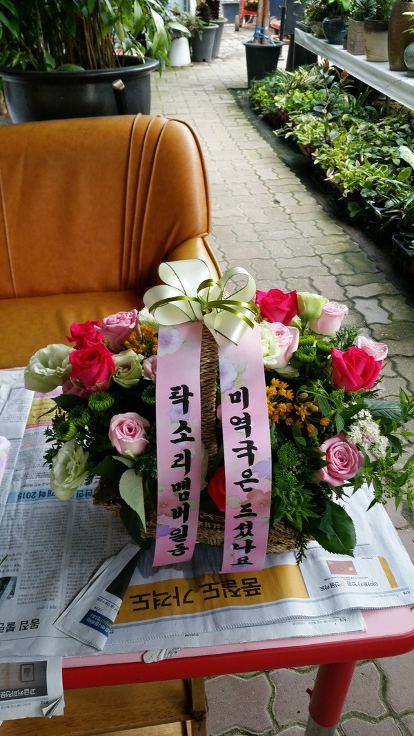 7��3��(�ݿ���)