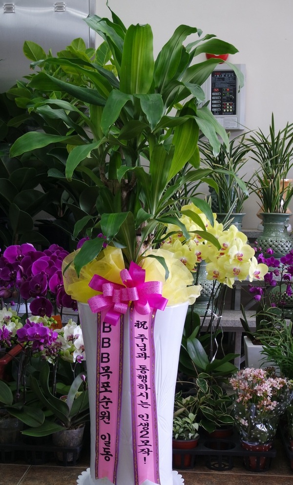 7��3��(�ݿ���)