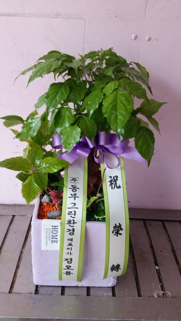 7��3��(�ݿ���)