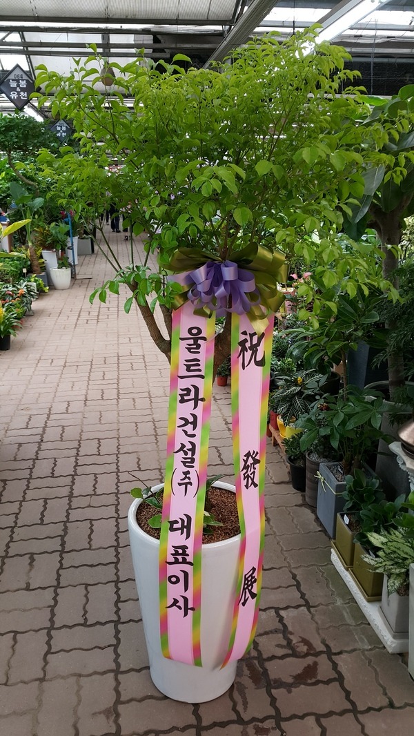 7��17��(�ݿ���)