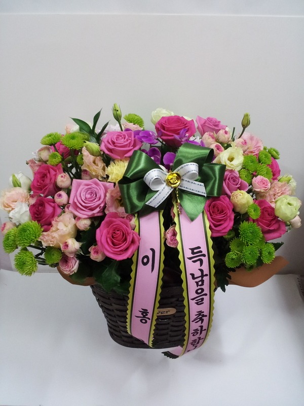 7��17��(�ݿ���)