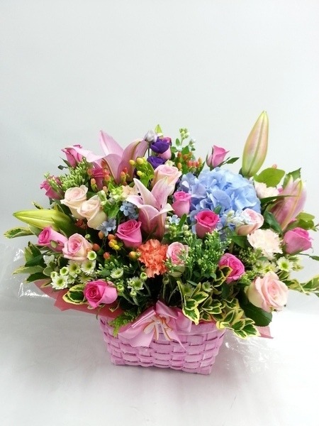 7��17��(�ݿ���)