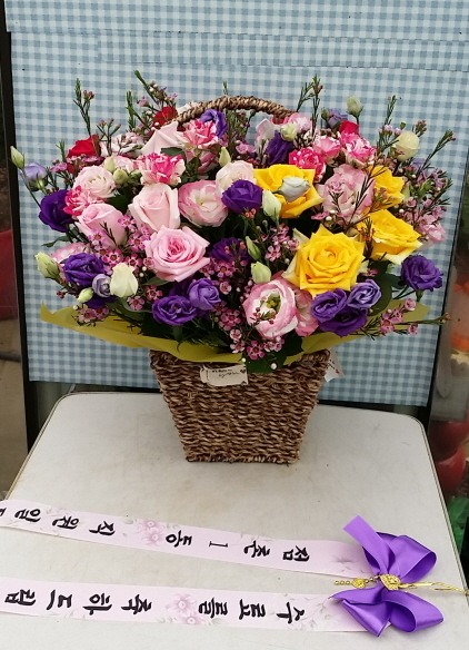 7��17��(�ݿ���)