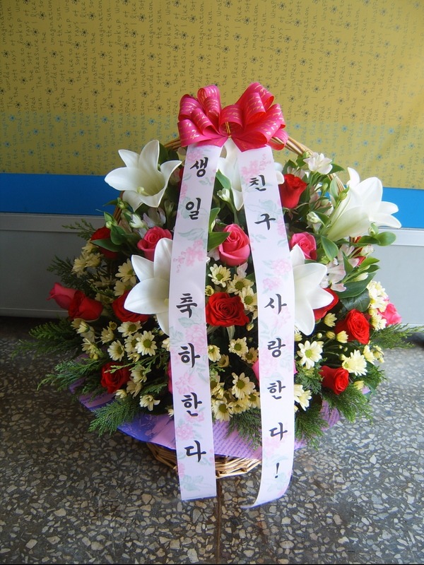 7��17��(�ݿ���)