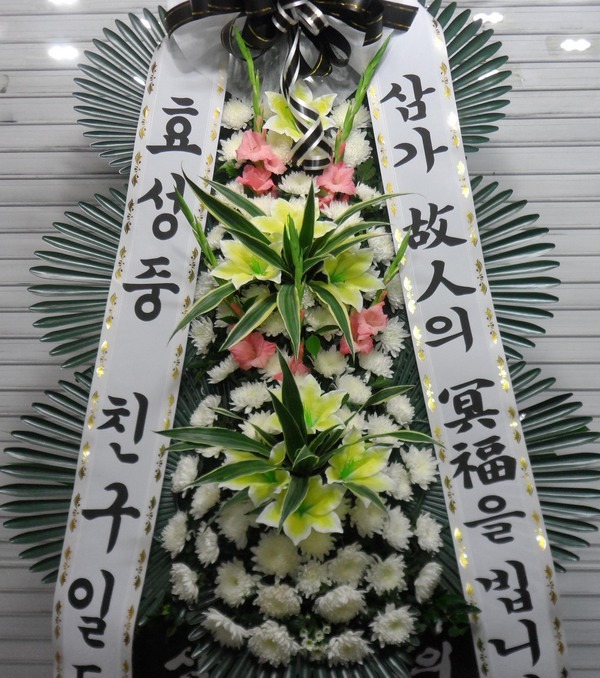 7��17��(�ݿ���)