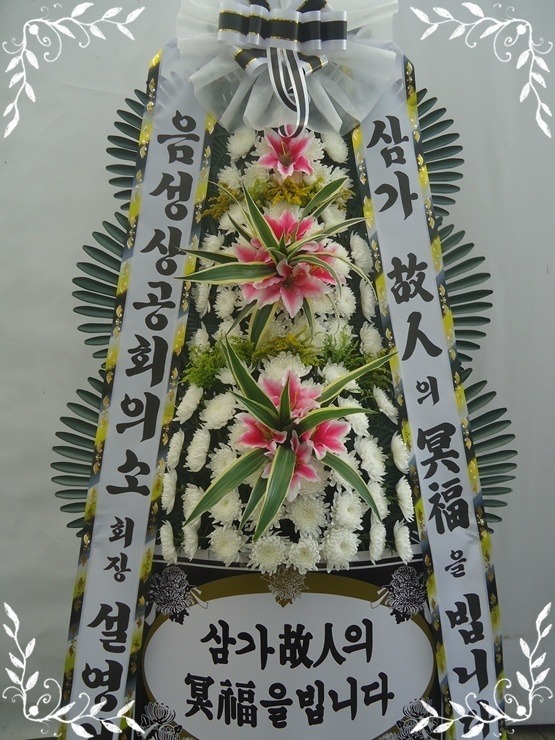 7��17��(�ݿ���)