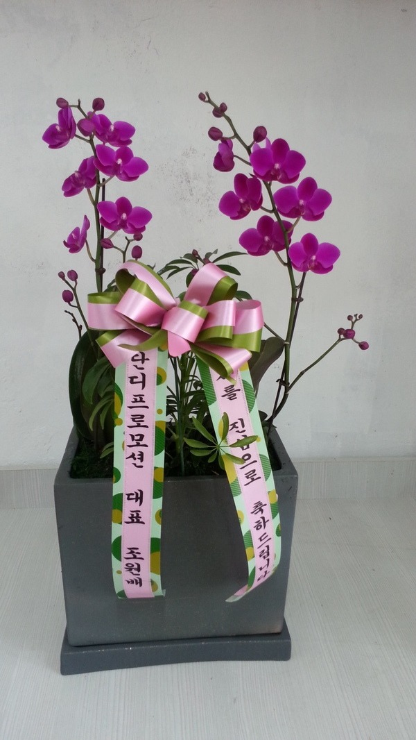 7��23��(�ߺ�)