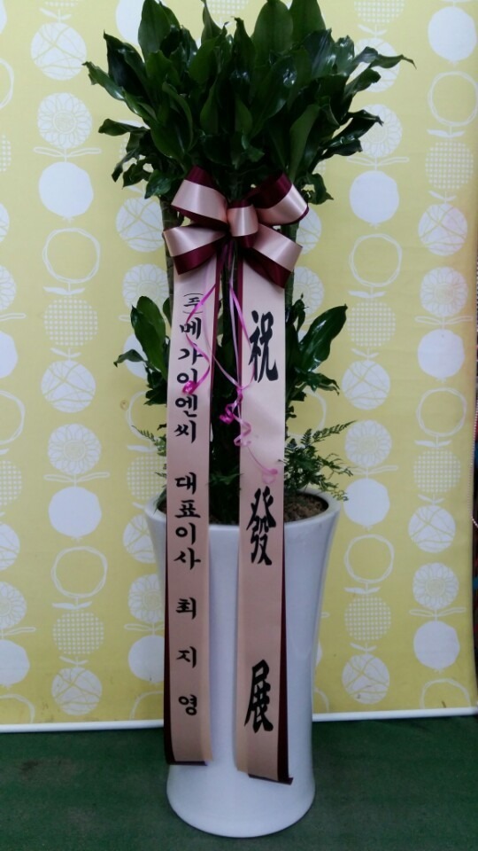 7��23��(�ߺ�)