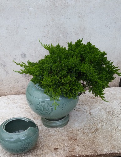 7��23��(�ߺ�)