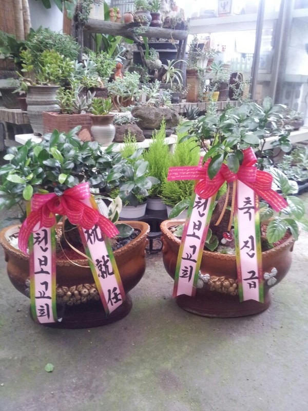 7��23��(�ߺ�)