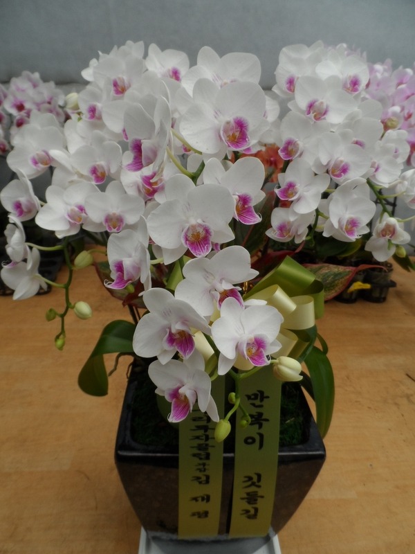 7��23��(�ߺ�)