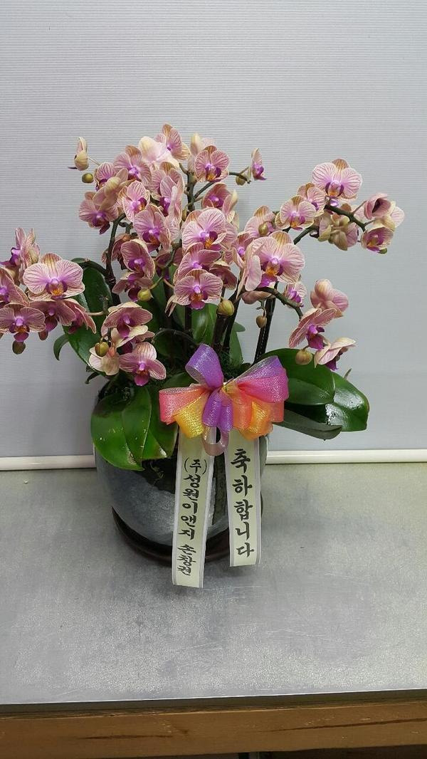 7��23��(�ߺ�)