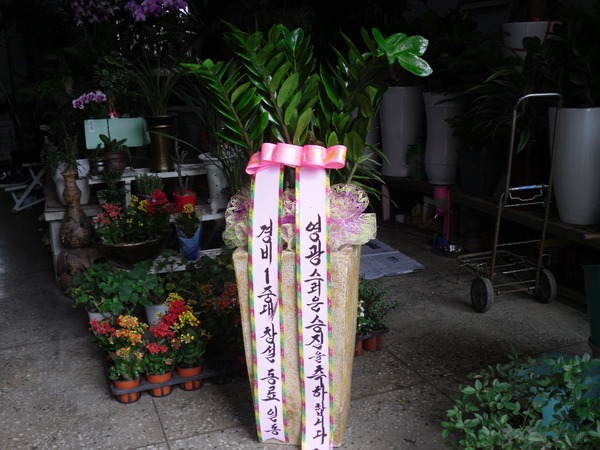 7��31��(�����)