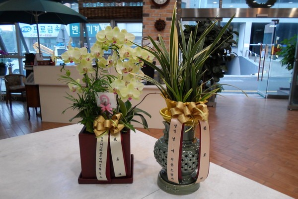 7��31��(�����)