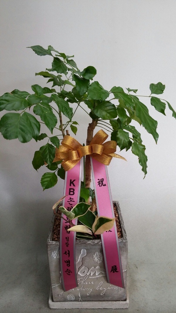 7��31��(�����)