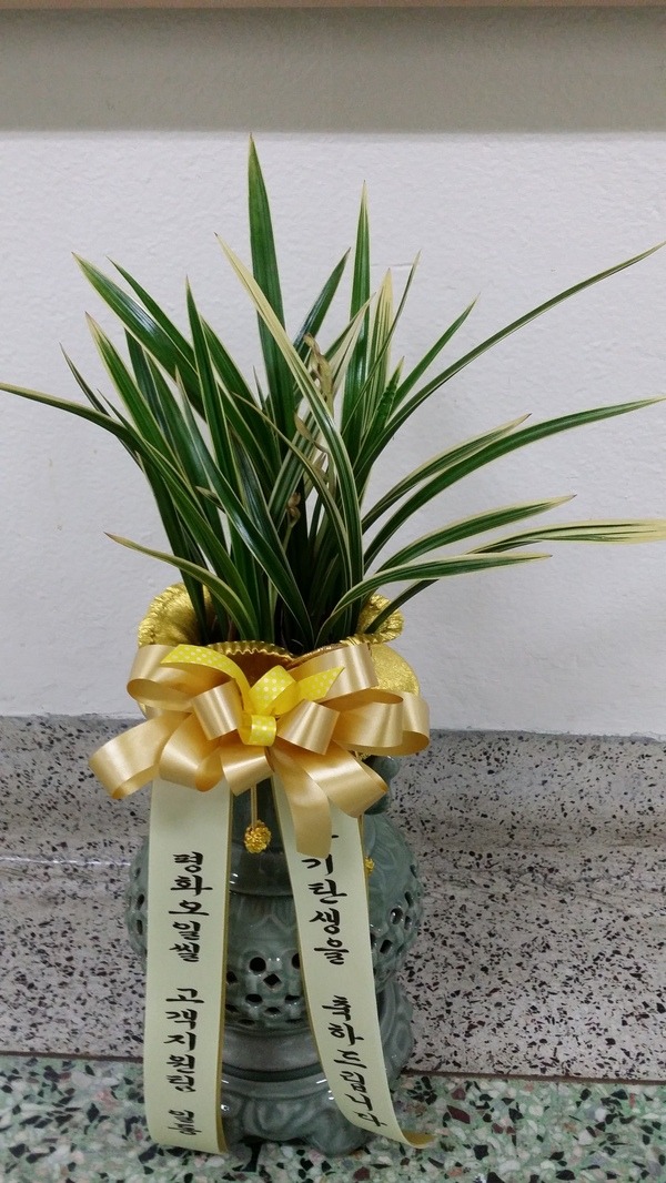 7��31��(�����)