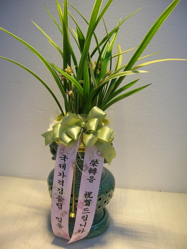 8��20��(�����)