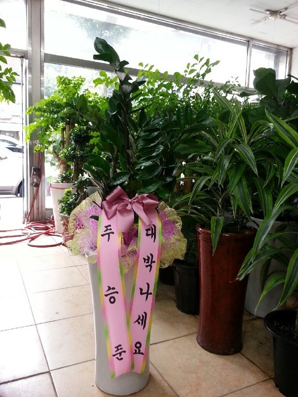 8��20��(�����)