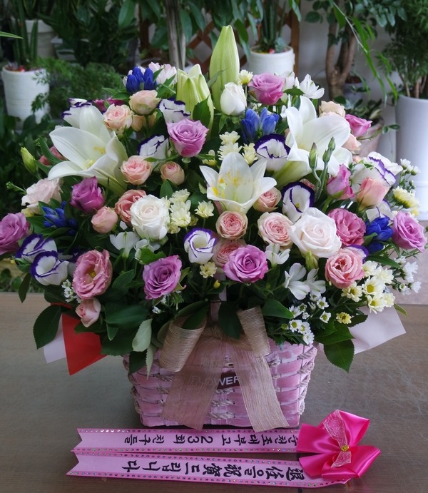 8��20��(�����)