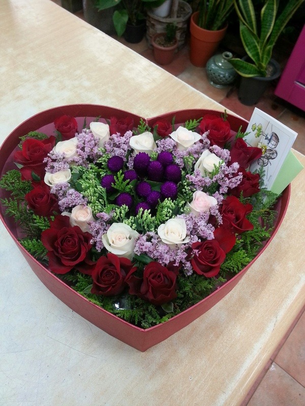 8��20��(�����)