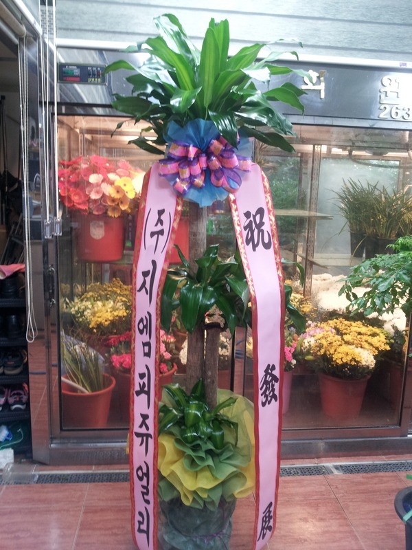 8��20��(�����)