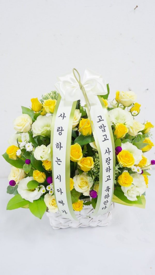 8��20��(�����)