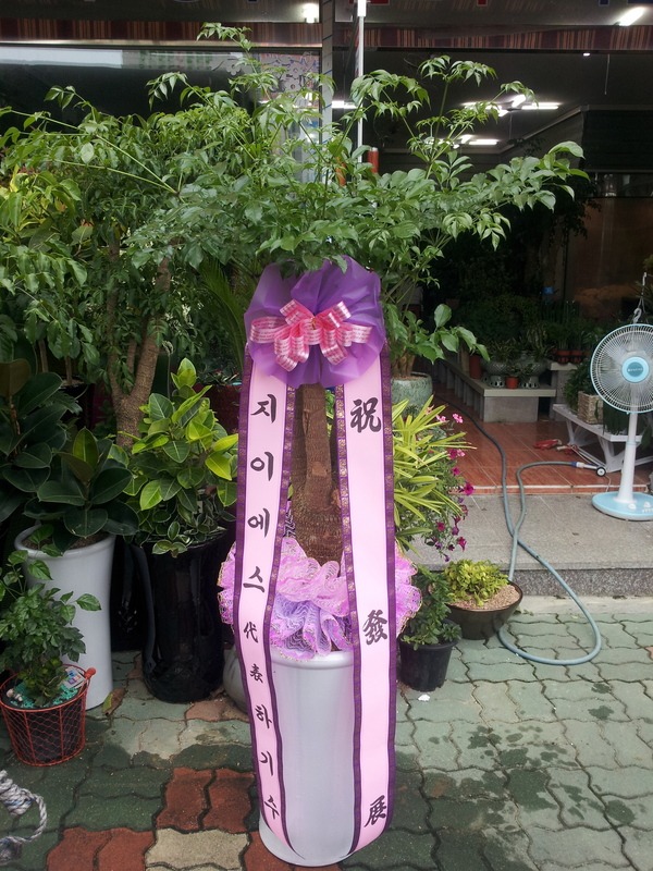 8��20��(�����)