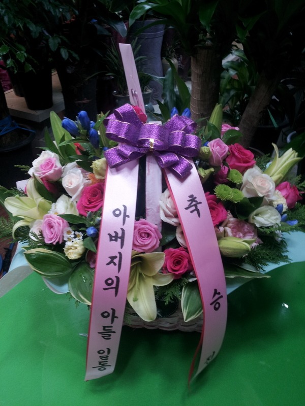 8��20��(�����)