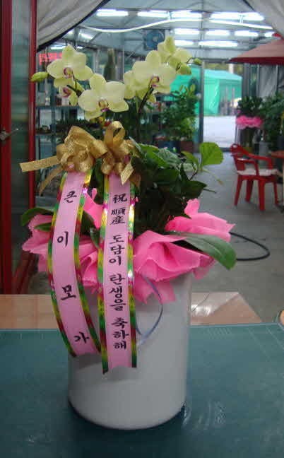 8��20��(�����)