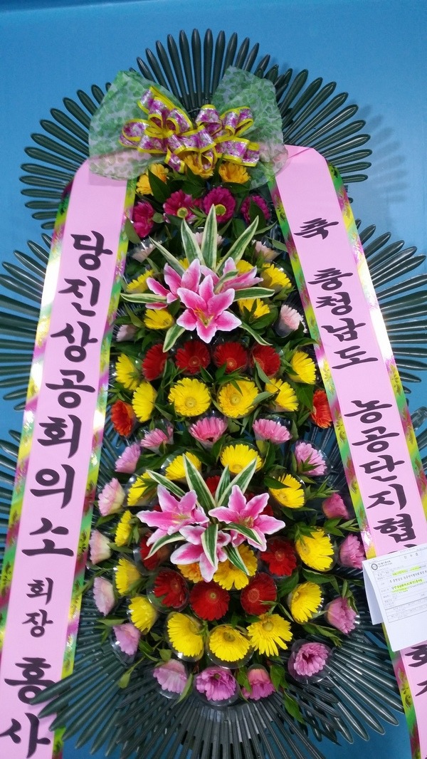 8��27��(�����)