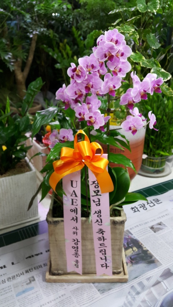 8��27��(�����)