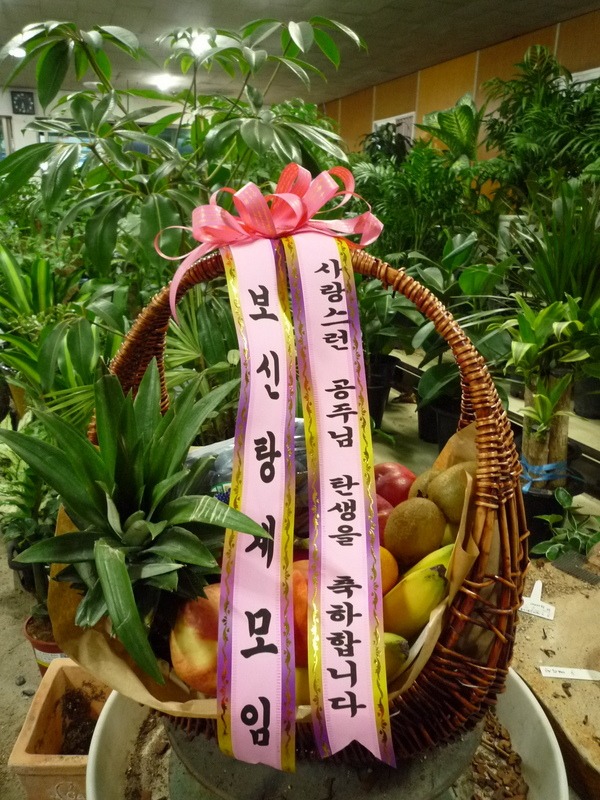 8��27��(�����)