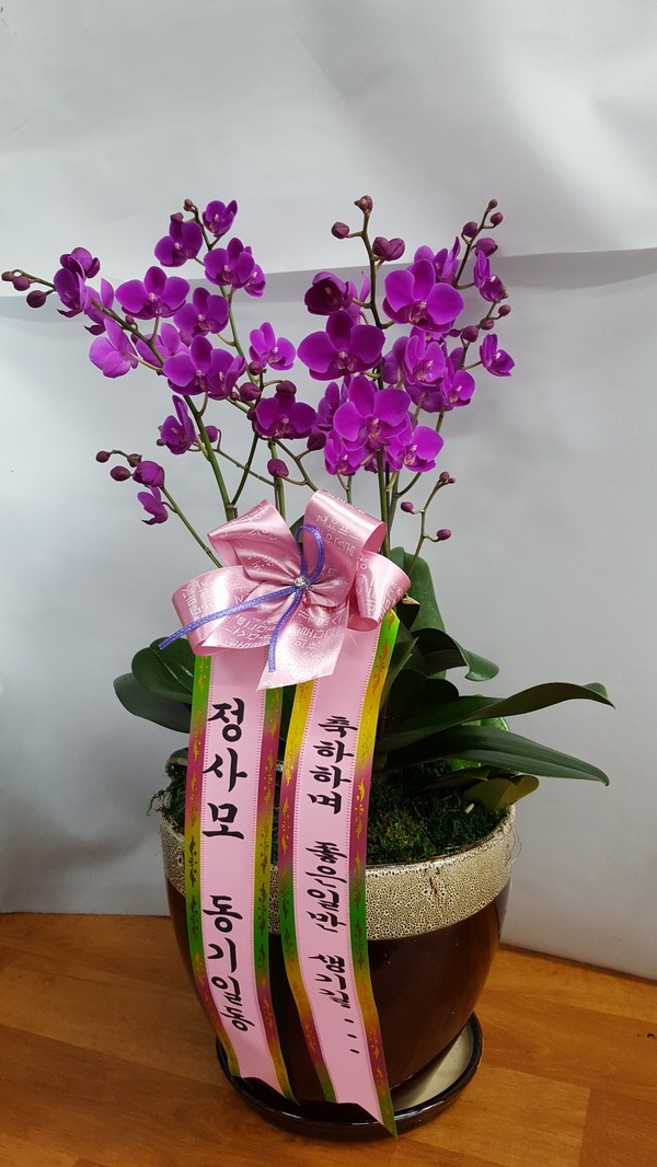 9��1��(�λ��̵�)