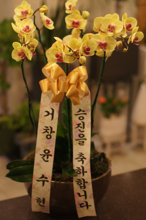 9��1��(�λ��̵�)