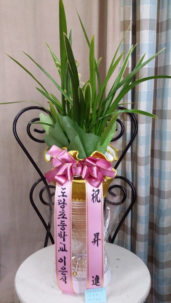 9��1��(�λ��̵�)