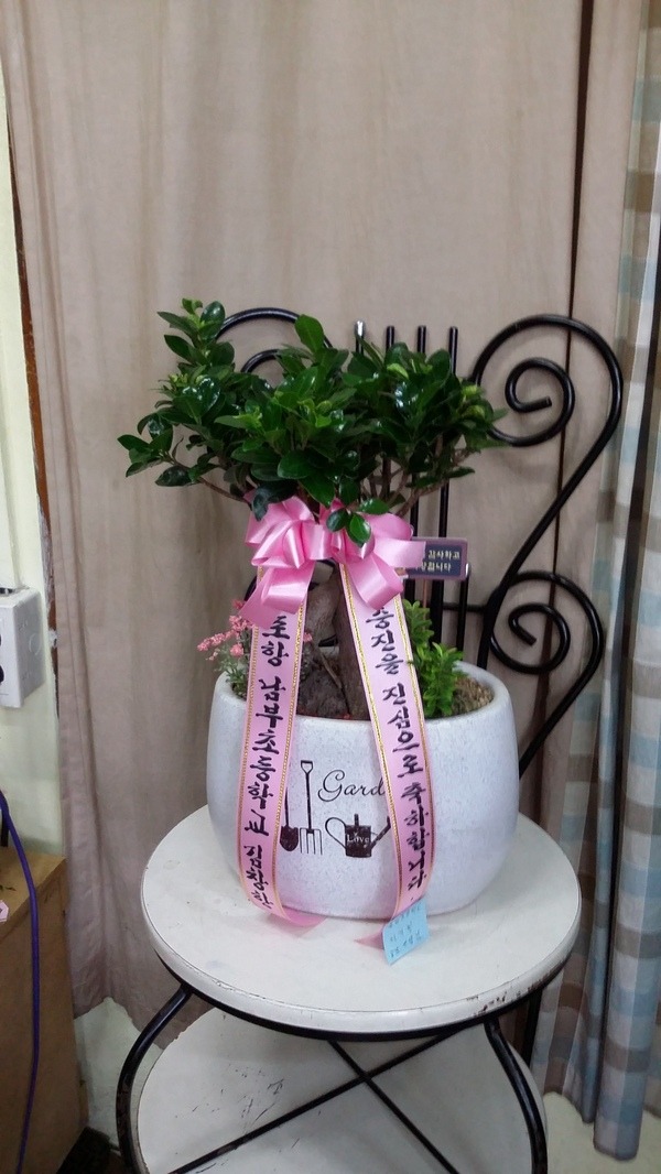 9��1��(�λ��̵�)