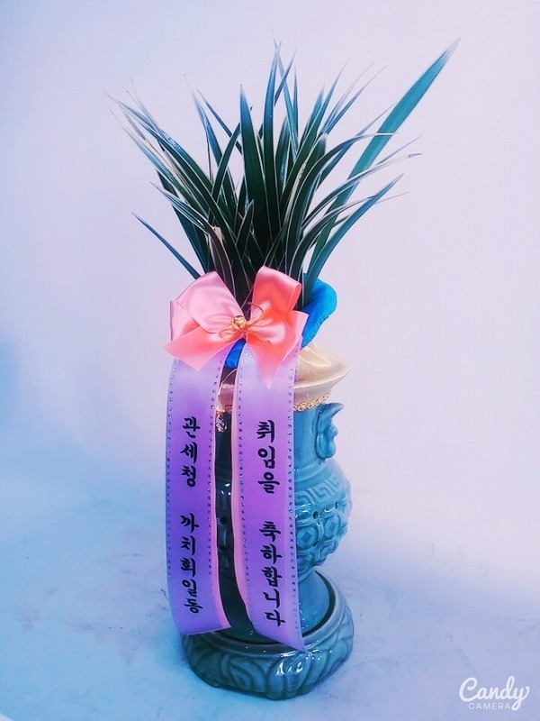 9��1��(�λ��̵�)