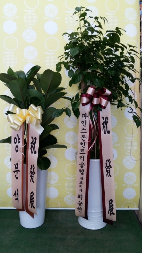 9��21��(ȭ����)