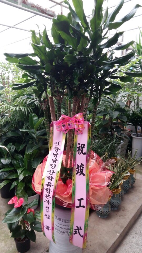 9��21��(ȭ����)