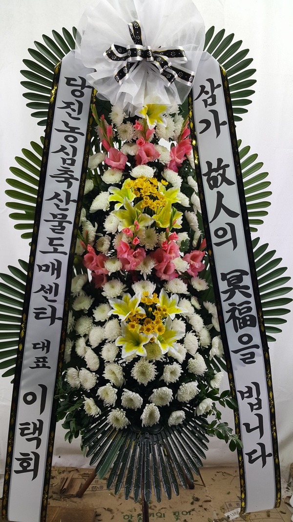 10��12��(��)