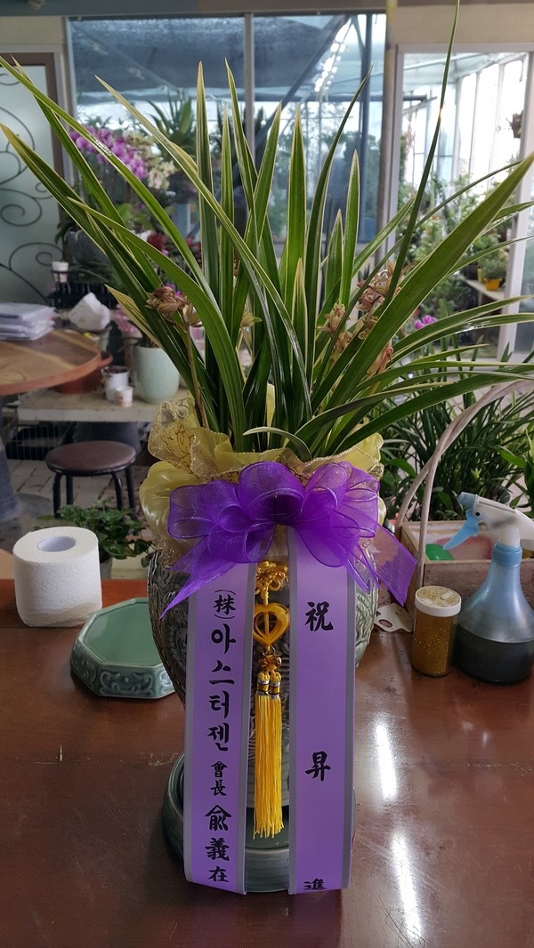 10��27��(ȭ����)