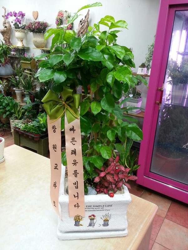 10��27��(ȭ����)