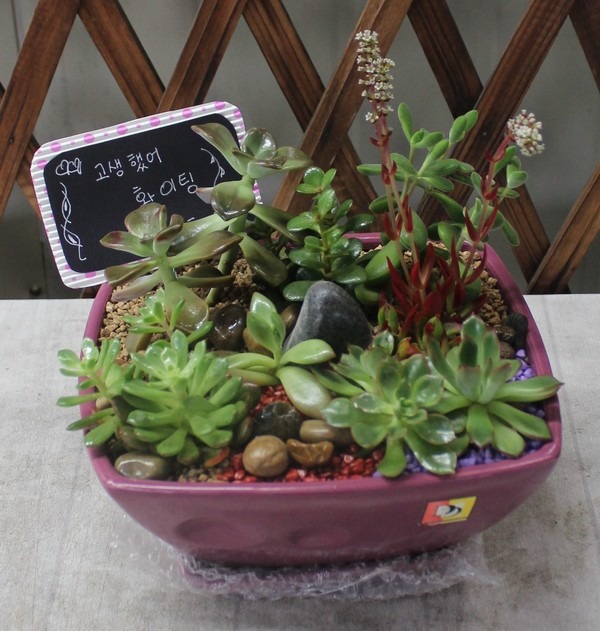 10��27��(ȭ����)