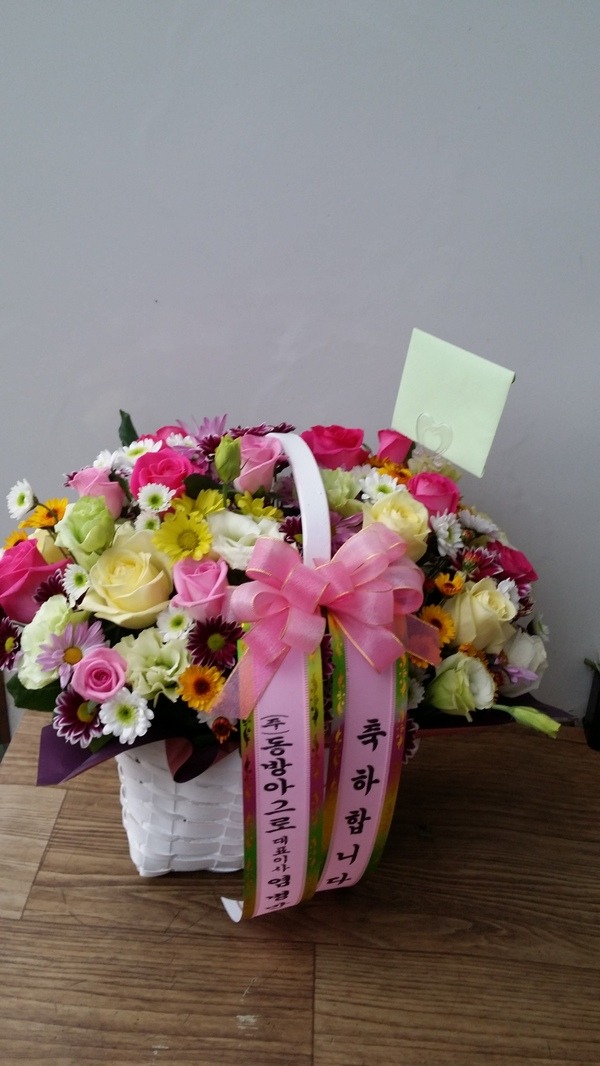 11��9��(������)