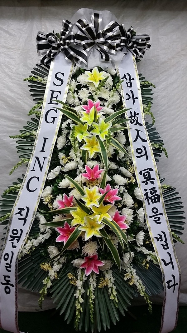 11��9��(������)