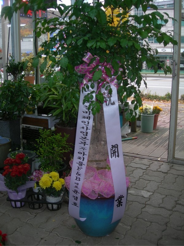 11��9��(������)