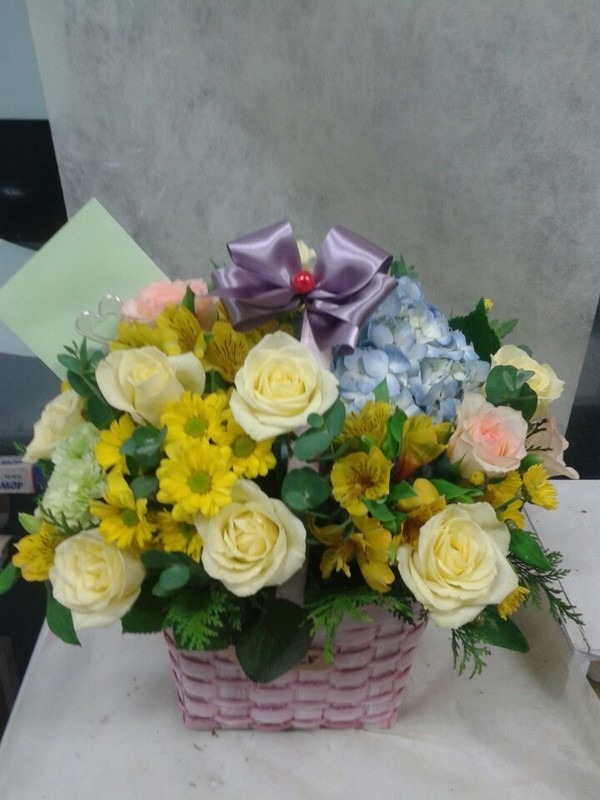 11��9��(������)